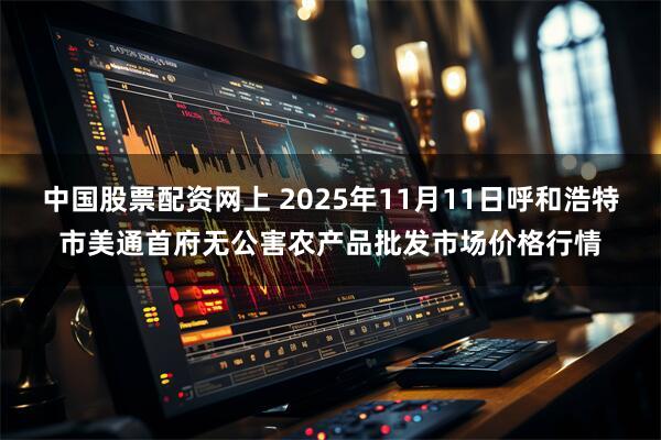 中国股票配资网上 2025年11月11日呼和浩特市美通首府无公害农产品批发市场价格行情