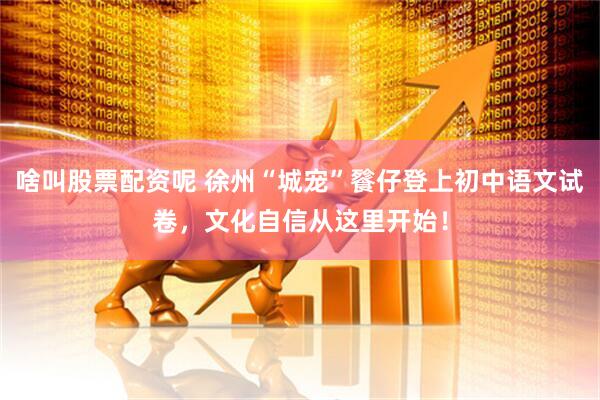 啥叫股票配资呢 徐州“城宠”餮仔登上初中语文试卷，文化自信从这里开始！